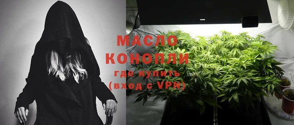 индика Навашино