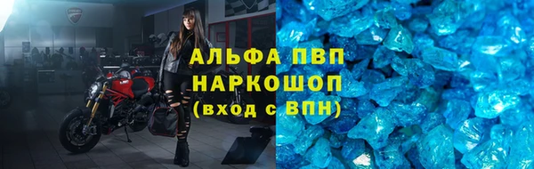 соль ск Бердск