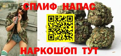 гидра Балахна