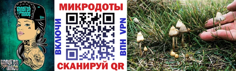 Галлюциногенные грибы мухоморы магазин продажи наркотиков гидра как войти Богородицк