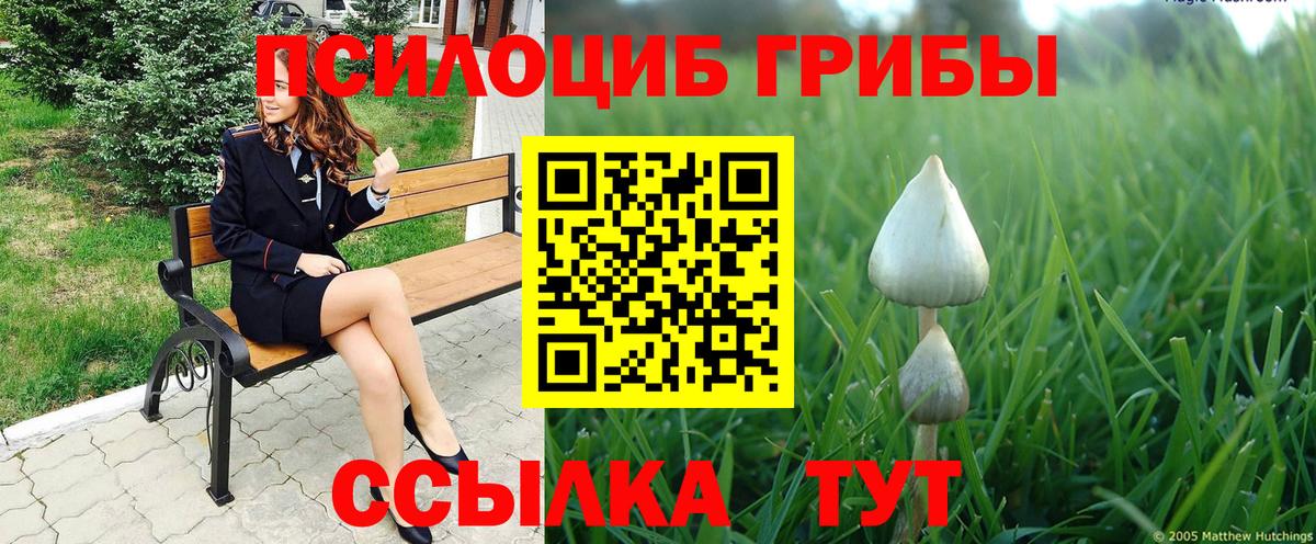 Псилоцибиновые грибы ЛСД  Вход с VPN  Псилоцибиновые грибы ЛСД  Богородицк 