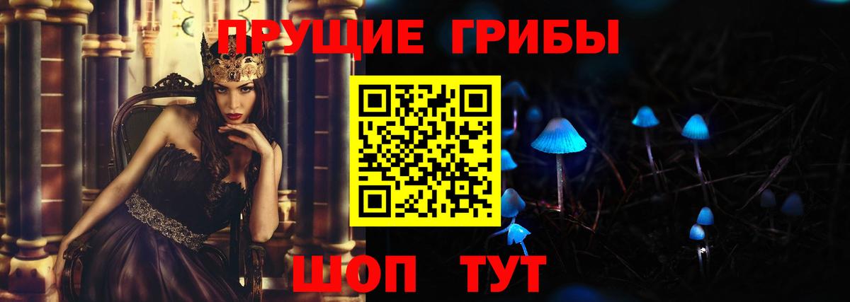 Псилоцибиновые грибы Psilocybe Богородицк